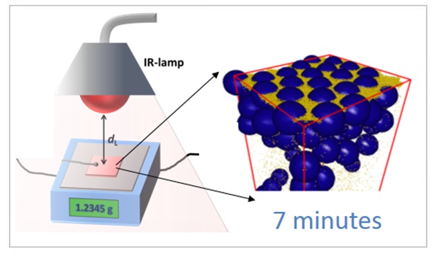 Gold nanoparticles nanogrids